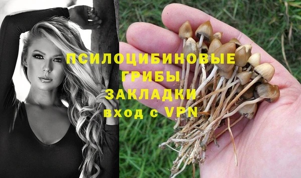 кокаин премиум Белокуриха