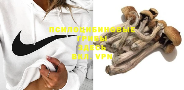 соль ск Белоозёрский