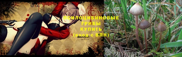 тгк Костерёво