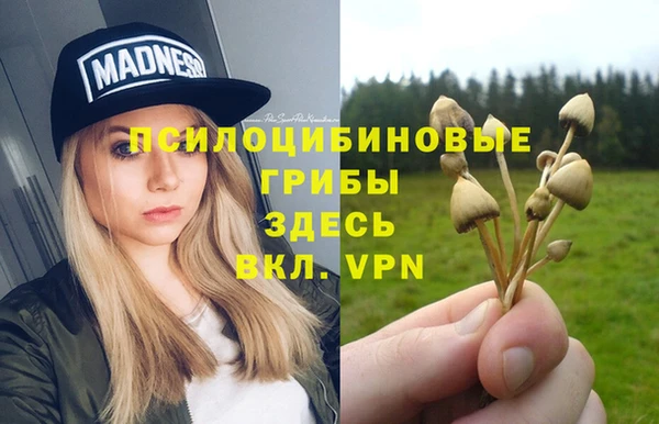 соль ск Белоозёрский