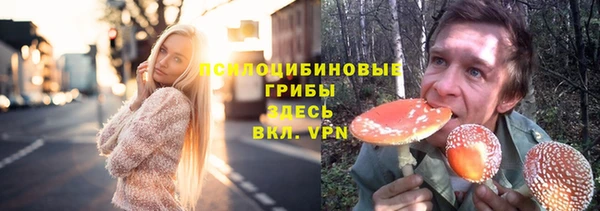 соль ск Белоозёрский